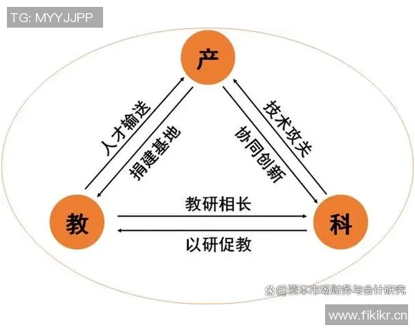 以团队协作为核心推动力探索创新发展模式与成功实践